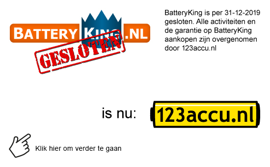 BatteryKing overgenomen door 123accu.nl